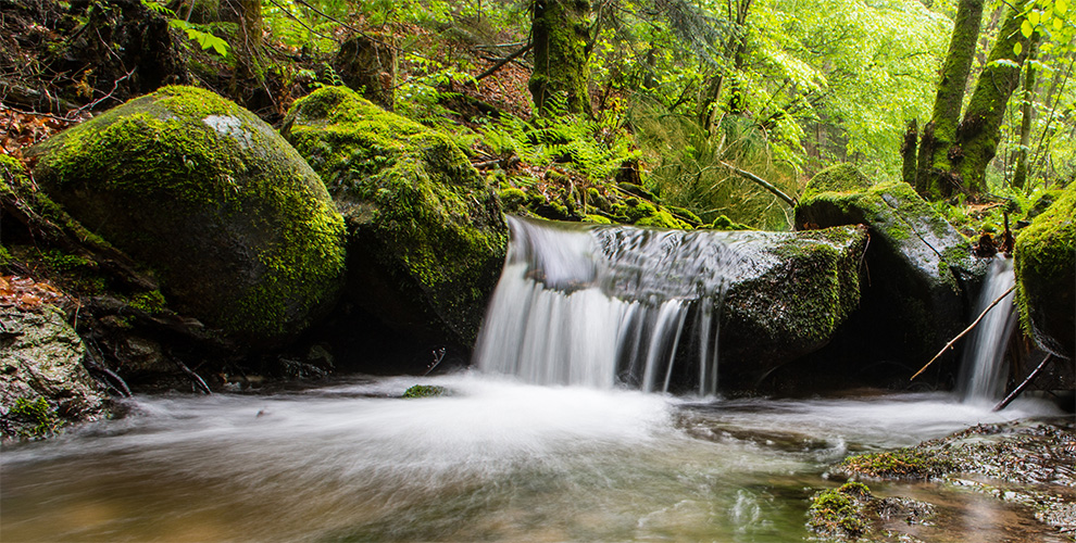 Bild von Flußlauf mit kleinem Wasserfall in Natur